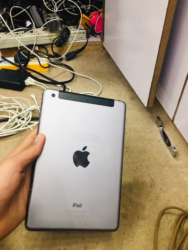 iPad mini 1 0