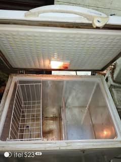 Single Door Deep Freezer