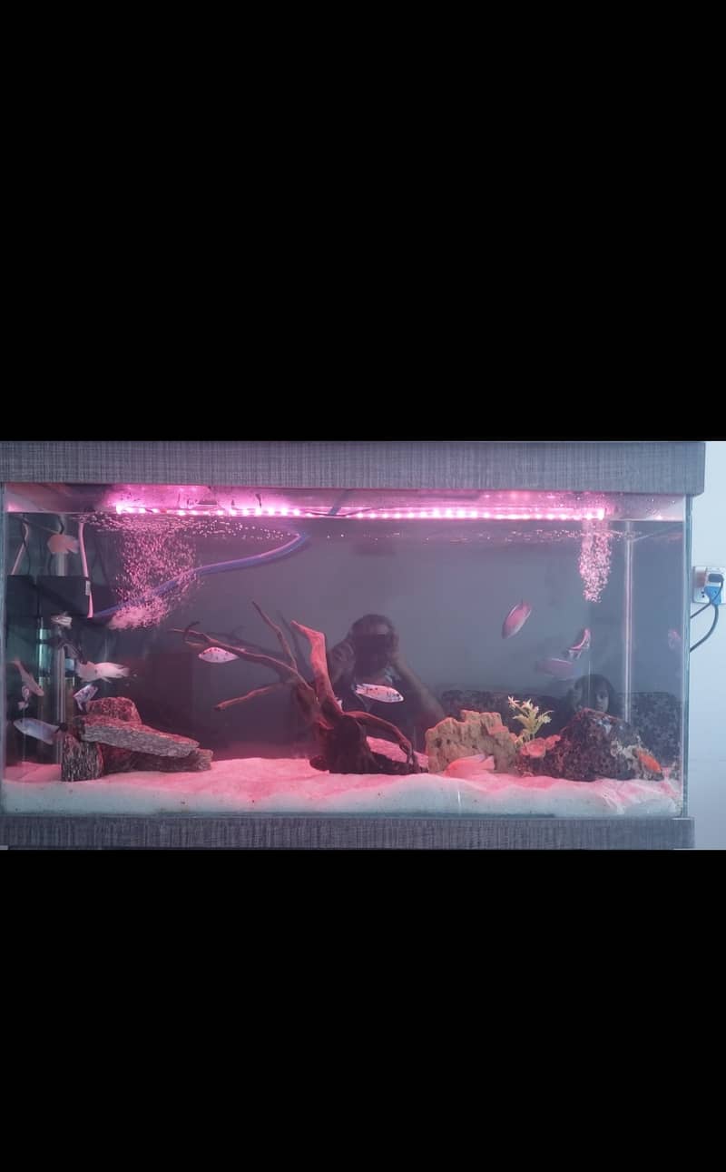 4ft only Aquarium with brand new accessories filters etc. 0