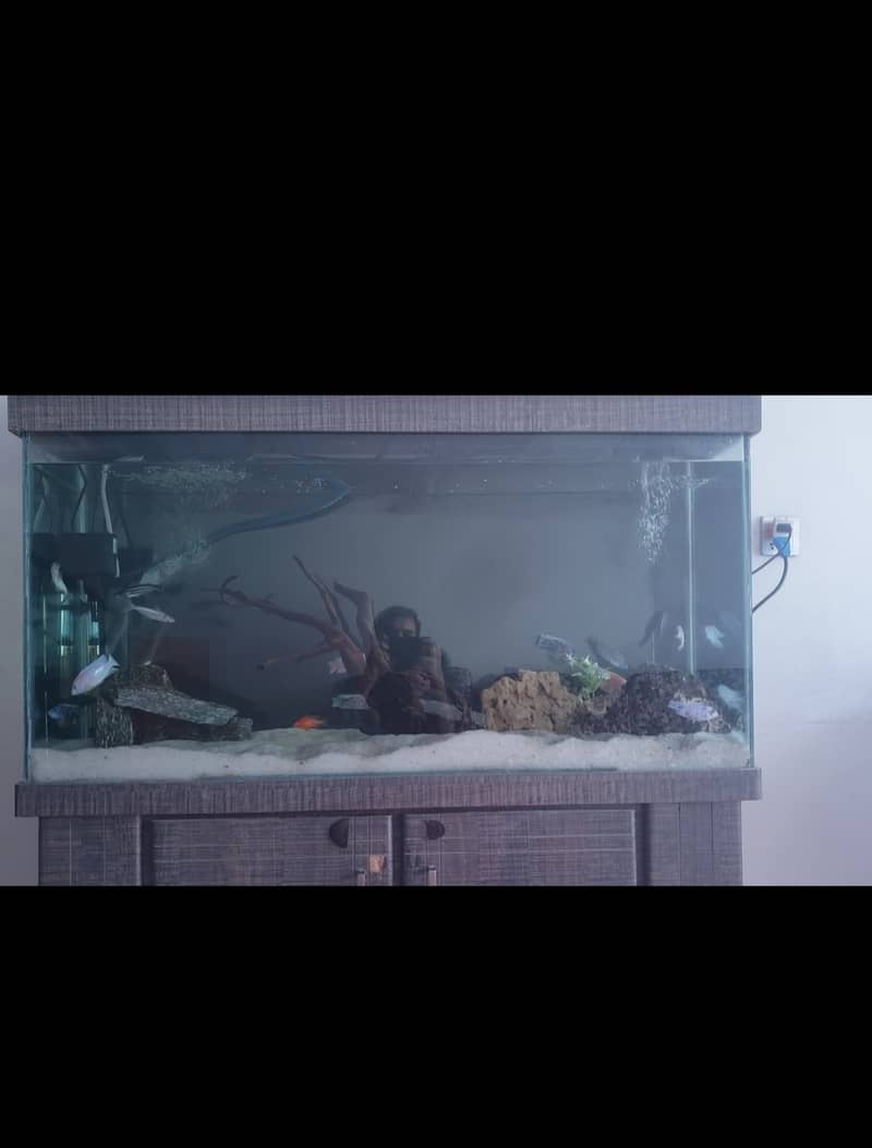 4ft only Aquarium with brand new accessories filters etc. 1