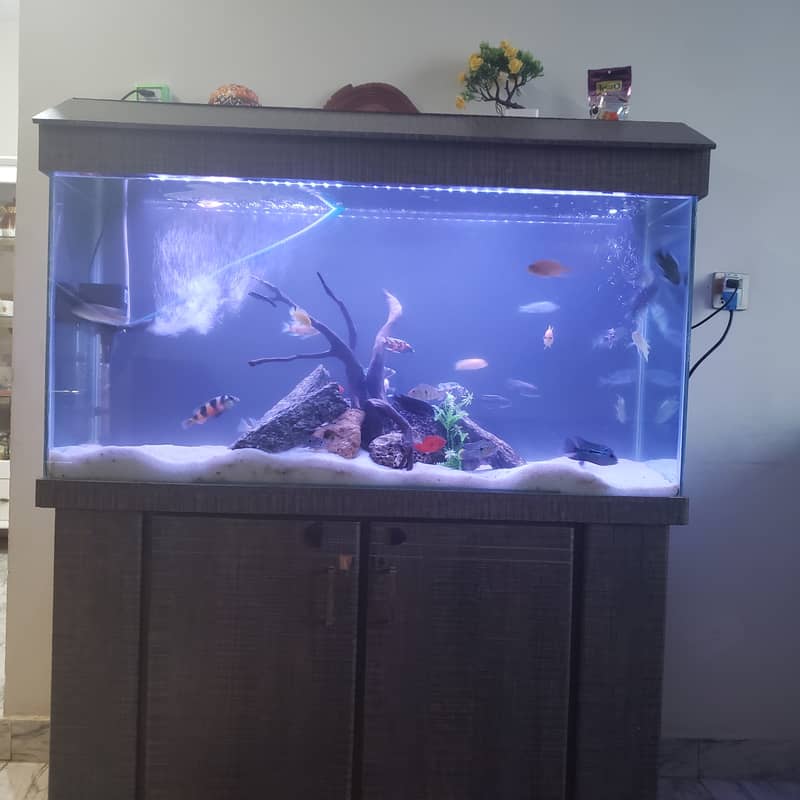 4ft only Aquarium with brand new accessories filters etc. 2