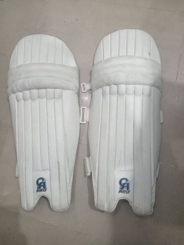 Cricket Accessories 9