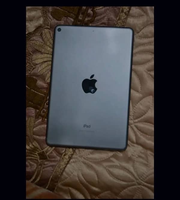 ipad Mini 5 1