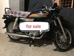 unique 2023 CD 70 for sale