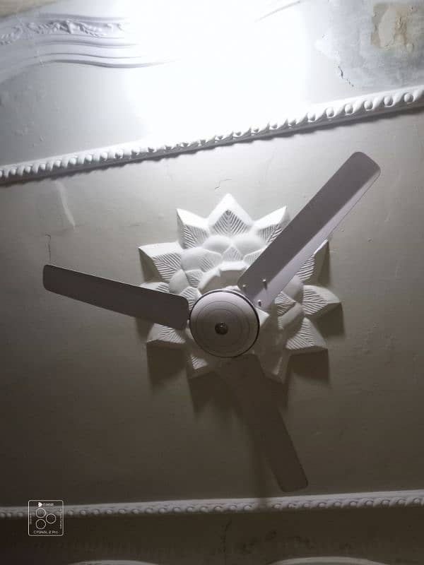 220 power Fan urgent sale 1