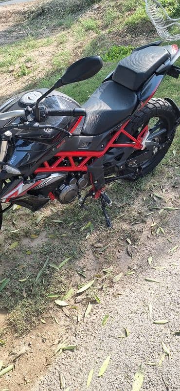 Benelli TNT 150i | Model 2023 | Urgent Sale | 3