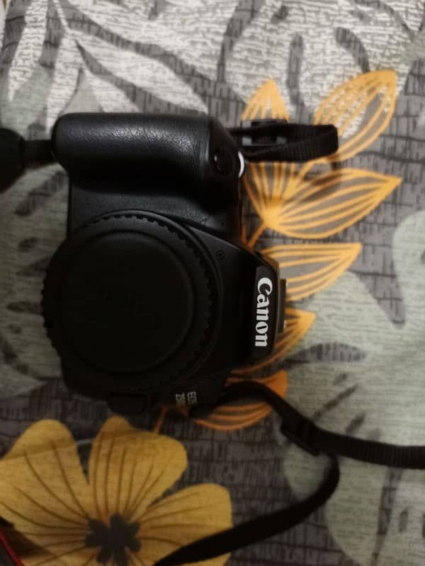 Canon 250D 0