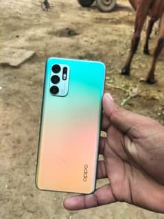 Oppo Reno 6 with Lush condition