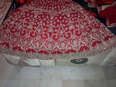 brand new lehnga