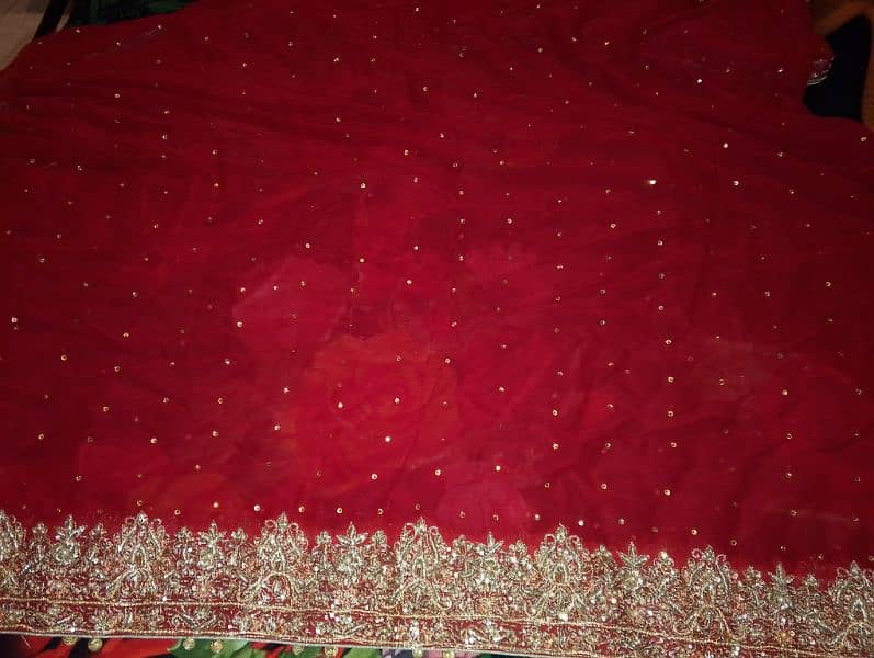 brand new lehnga 7