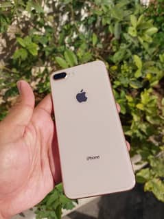 iphone 8 plus 256