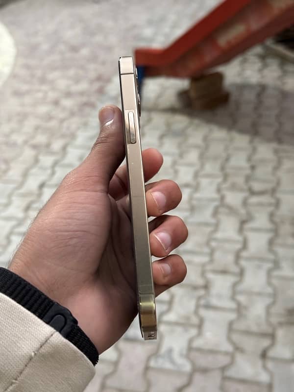 IPhone 12 Pro  pta 2