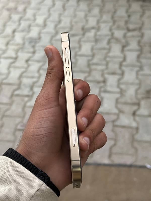 IPhone 12 Pro  pta 3