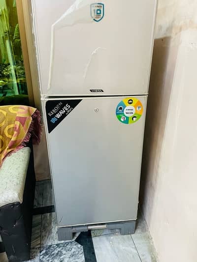 waves fridge
