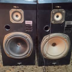 1000 10 inch 2 speaker 2  box