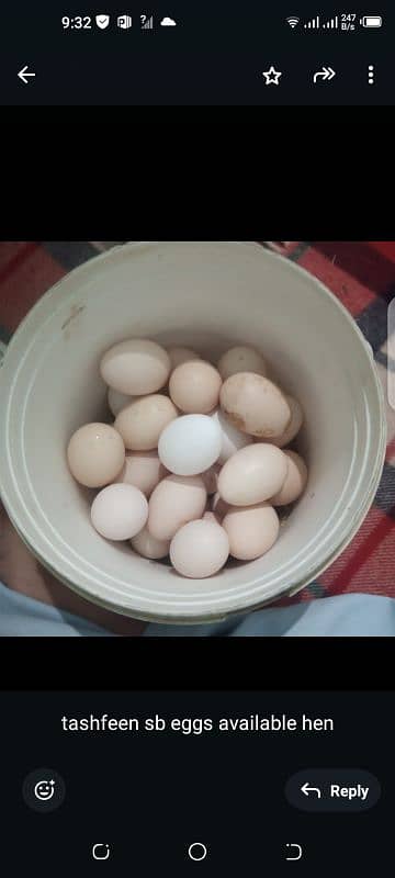 Desi Eggs 0