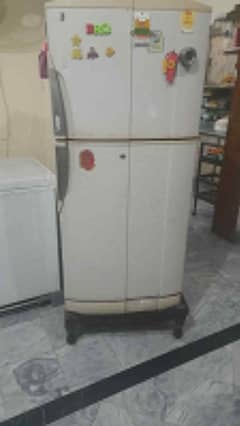 PEL Refrigerator