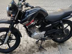 Yamaha YBR 125 (2016) MODEL | Yamaha in Bikes | YBR 125