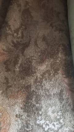 two carpets