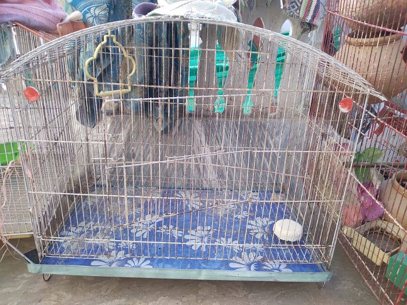 birds cage available 1