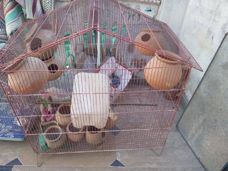 birds cage available 2