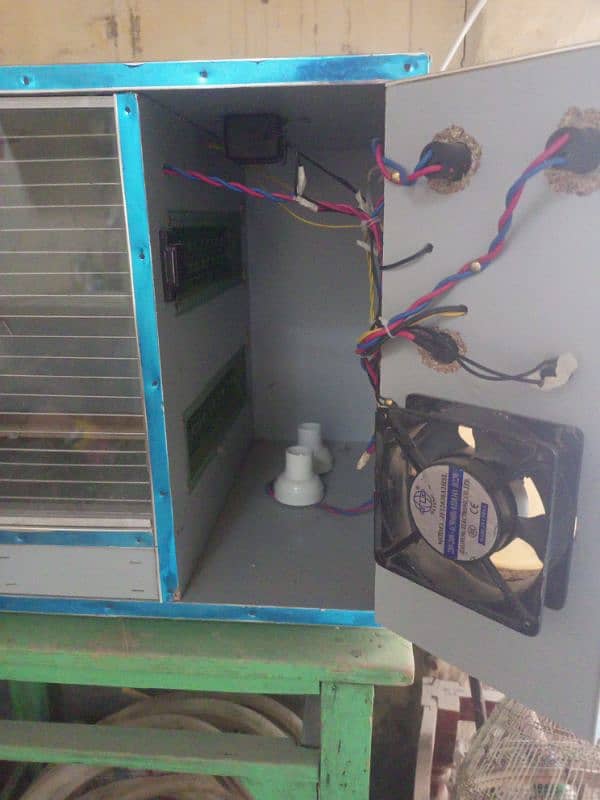 brooder for sale 1