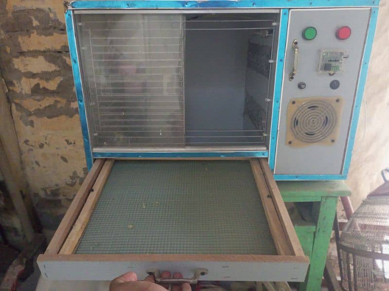 brooder for sale 4