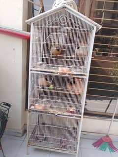 Cage for birds