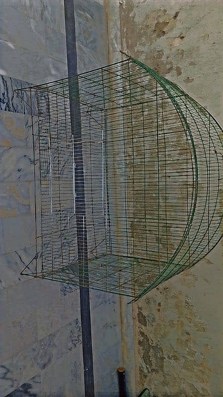 birds cage 2