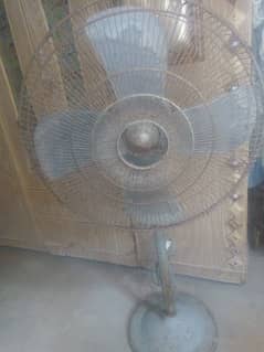 pedestal fan (General fan)