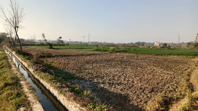 1 Acre Agricultral / Commercial Land For Sale On Burj Road Gandha Singh Kasur, 1