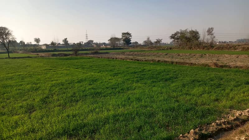 1 Acre Agricultral / Commercial Land For Sale On Burj Road Gandha Singh Kasur, 2