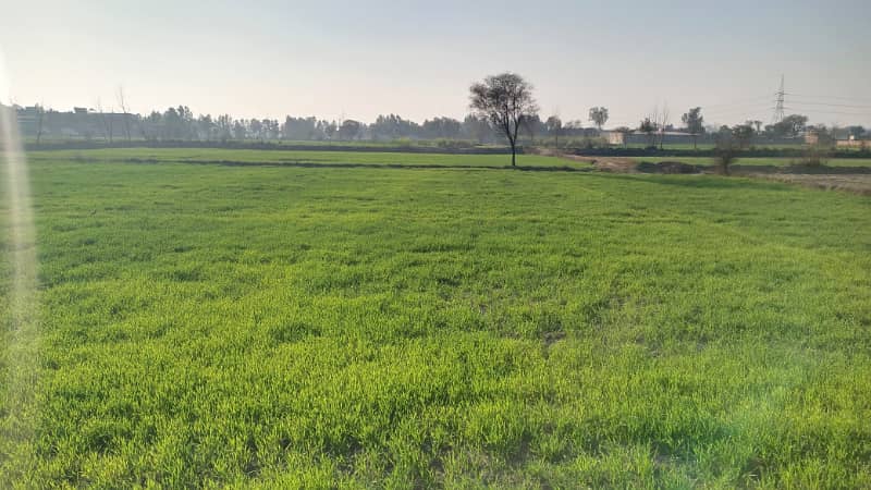 1 Acre Agricultral / Commercial Land For Sale On Burj Road Gandha Singh Kasur, 3