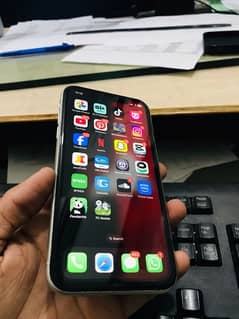 IPHONE XR dual approve 64gb