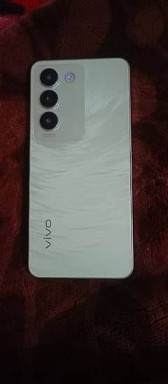 Vivo Y100 8+8 256