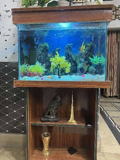 Aquarium with frame