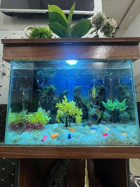 Aquarium with frame 2