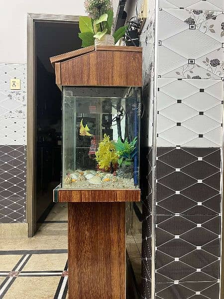 Aquarium with frame 4