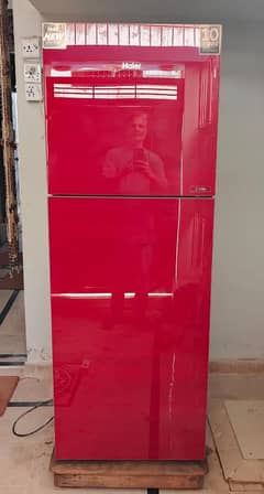 Refrigerator Haier