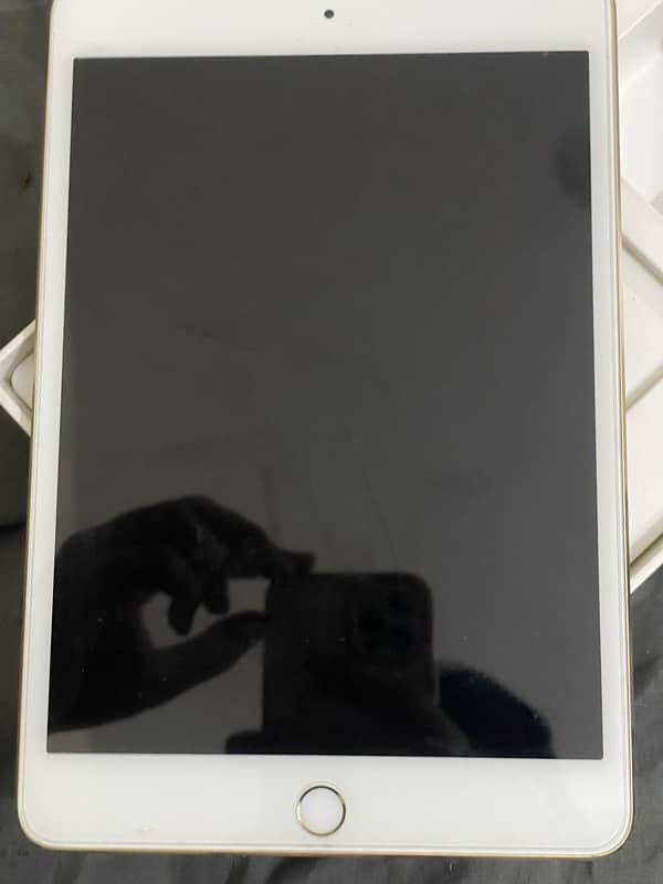 iPad mini 4 128gb 2