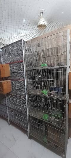 5 portion cgae and 4 portion cage