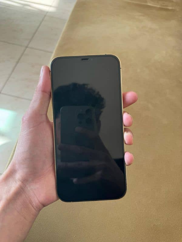 IPhone 12 Pro Max 256 GB Non Pta 2