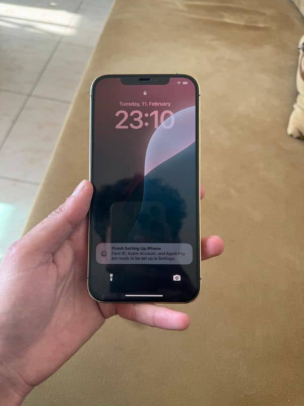 IPhone 12 Pro Max 256 GB Non Pta 5