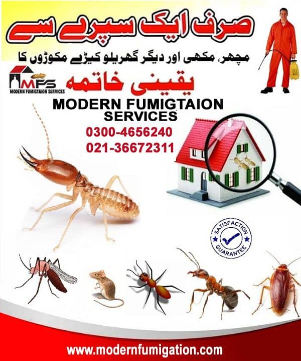 Pest control , fumigation , termite , cockroach , bed bugs on discount 0