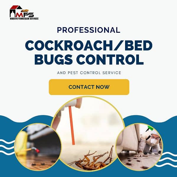 Pest control , fumigation , termite , cockroach , bed bugs on discount 7