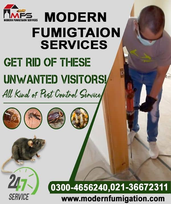 Pest control , fumigation , termite , cockroach , bed bugs on discount 8