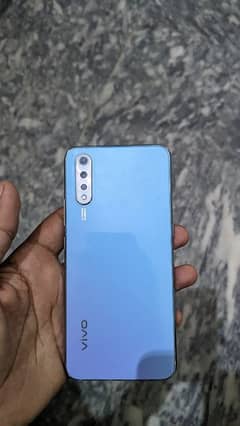 vivo