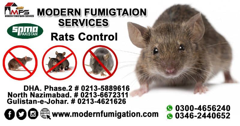 Pest control , fumigation , termite , cockroach , bed bugs on discount 15