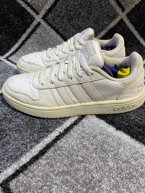 Adidas low white sneakers 1