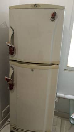 PEL Refrigerator